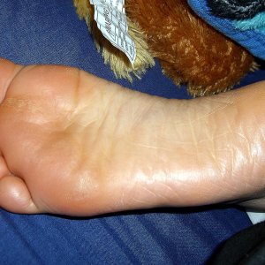 Sweet Little Sole.jpg