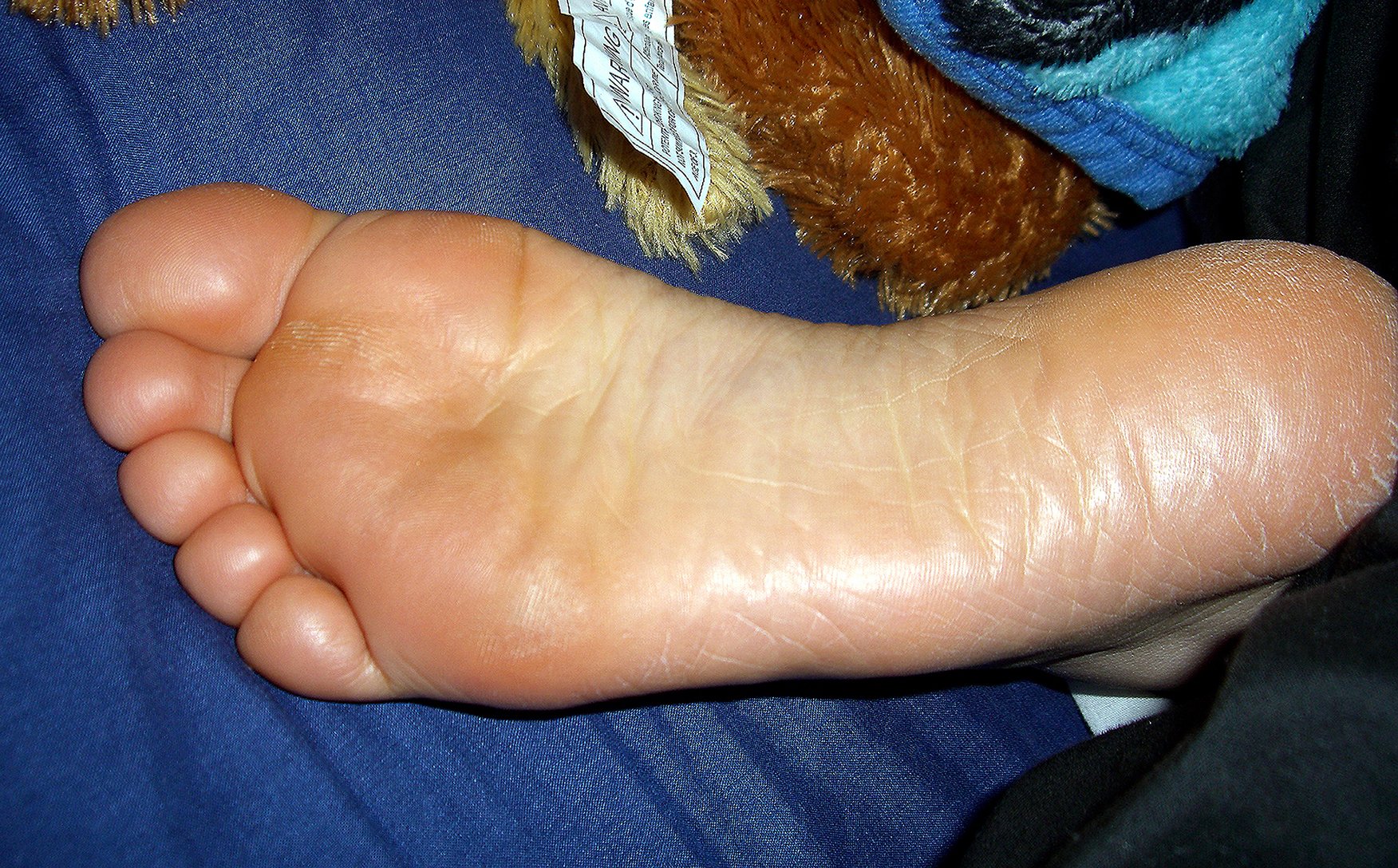 Sweet Little Sole.jpg